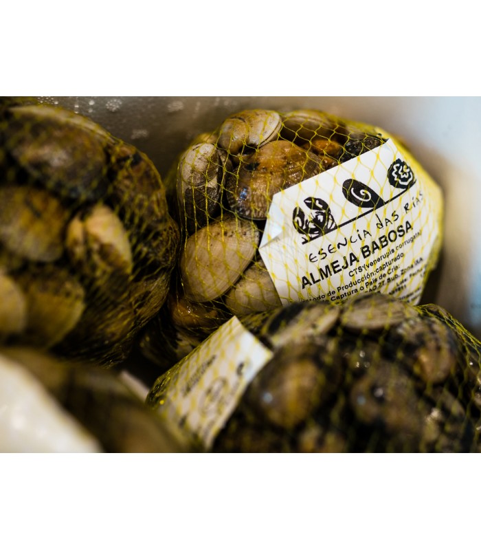Vongole viscida